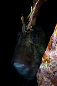 20190224_Port Hughes_0017 (Large)