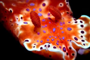 20190224_Port Hughes_0023 (Large)